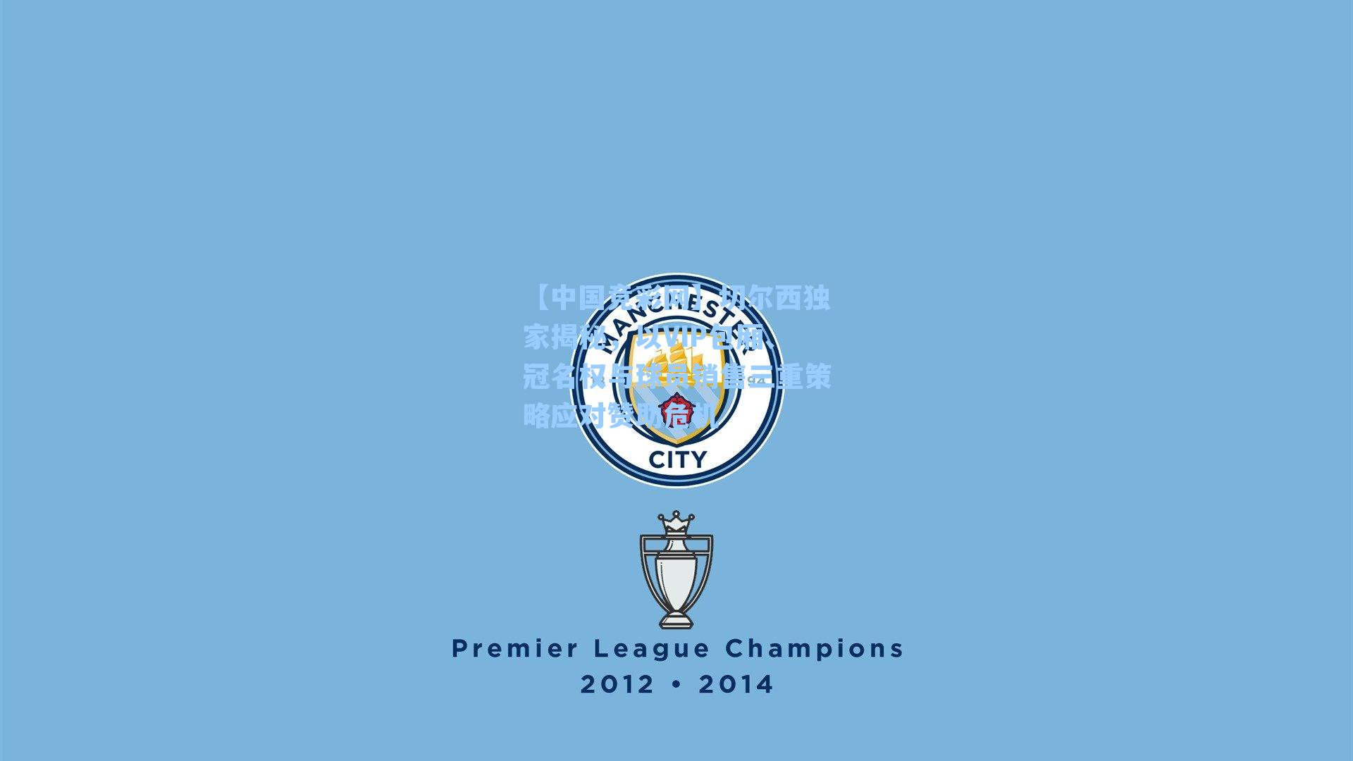 切尔西独家揭秘,以VIP包厢、冠名权与球员销售三重策略应对赞助危机