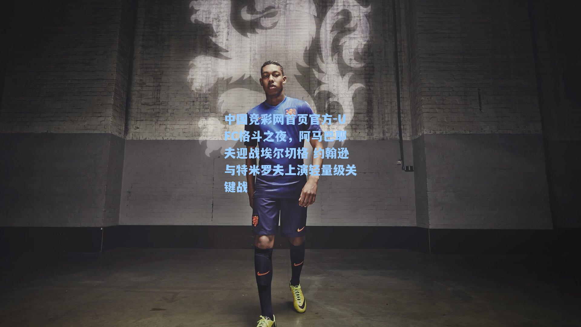 UFC格斗之夜，阿马巴耶夫迎战埃尔切格 约翰逊与特米罗夫上演轻量级关键战