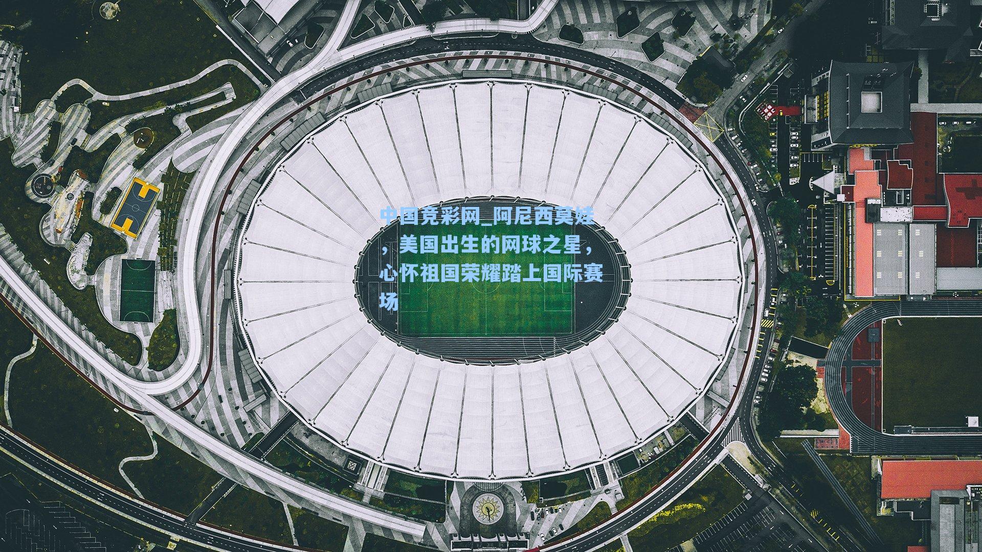 阿尼西莫娃，美国出生的网球之星，心怀祖国荣耀踏上国际赛场