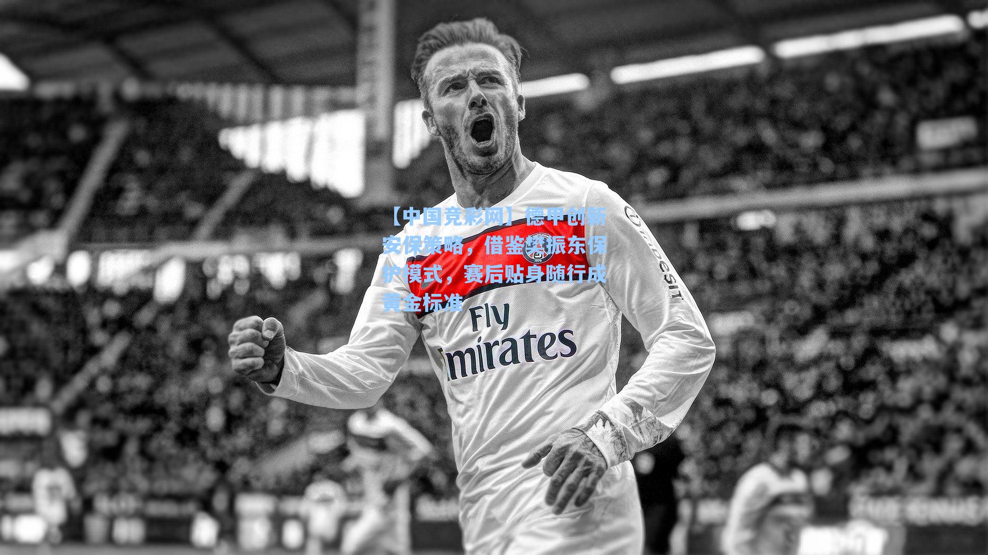 德甲创新安保策略，借鉴樊振东保护模式，赛后贴身随行成黄金标准